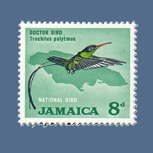 Image of a Jamaica stamp showing a Doctor Bird. The image is a green stamp with a bird illustration and Jamaica 8d on it, sitting on a purple background.