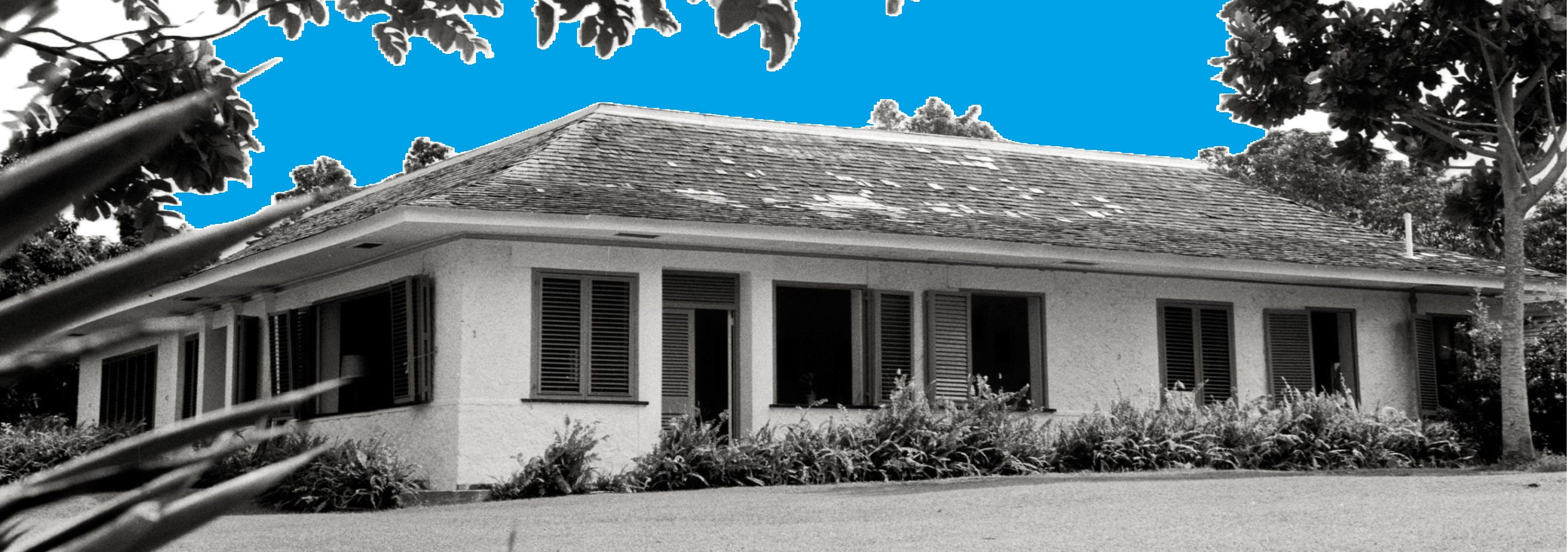 A single-story house with a sloped roof and shuttered windows, surrounded by trees and bushes. The sky is edited to a bright blue, with plants and grass in the foreground.