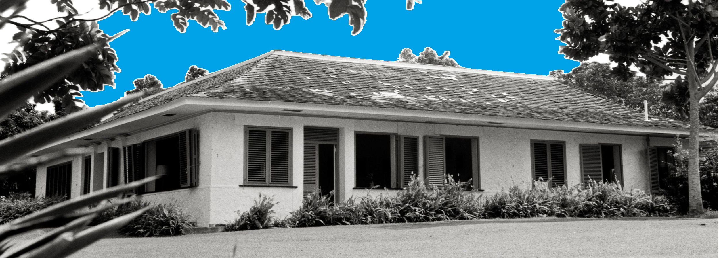 A single-story house with a sloped roof and shuttered windows, surrounded by trees and bushes. The sky is edited to a bright blue, with plants and grass in the foreground.