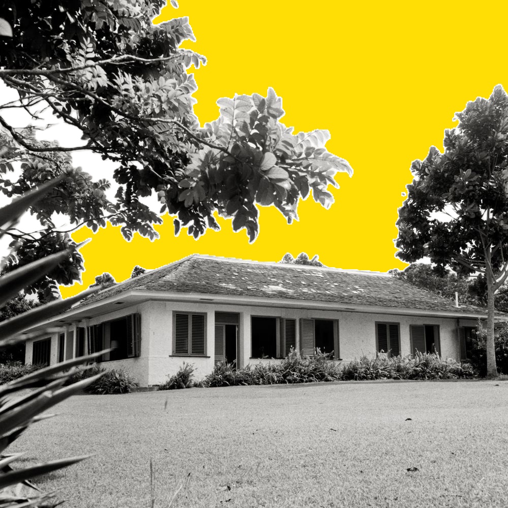 A single-story house with a sloped roof and shuttered windows, surrounded by trees and bushes. The sky is edited to a bright yellow, with plants and grass in the foreground.