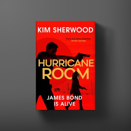 Book cover for Hurricane Room by Kim Sherwood.